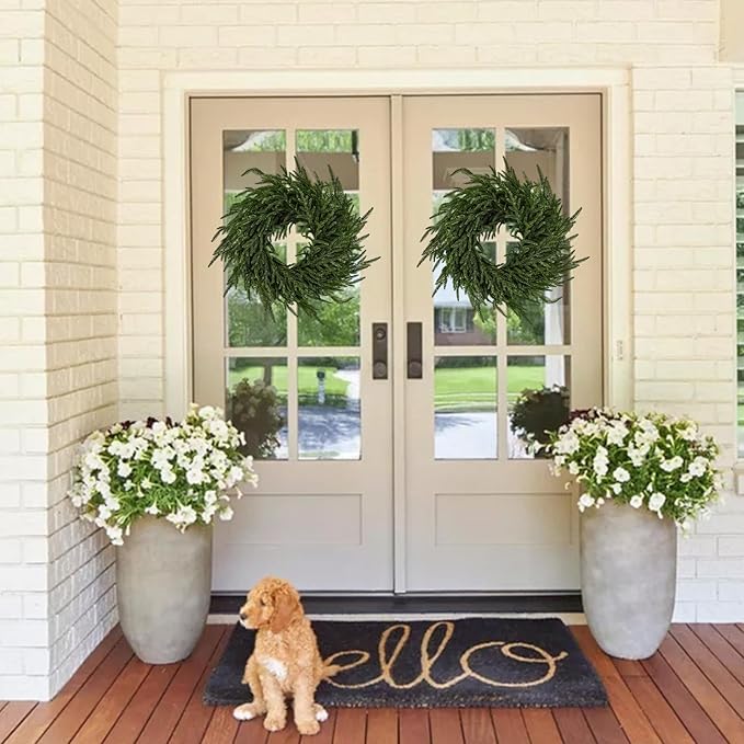 24" Norfolk Pine Wreath - Set of 2