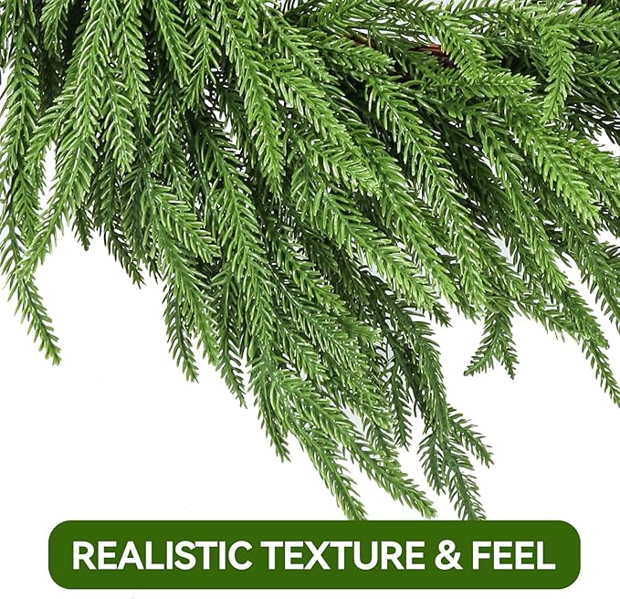 24" Norfolk Pine Wreath - Set of 2
