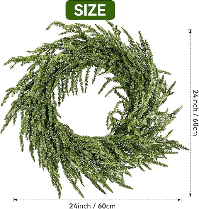 24" Norfolk Pine Wreath - Set of 2