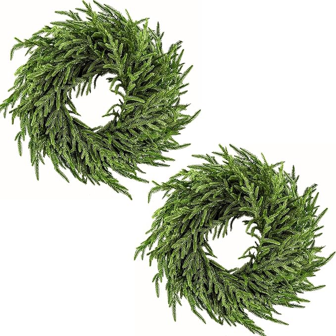 24" Norfolk Pine Wreath - Set of 2